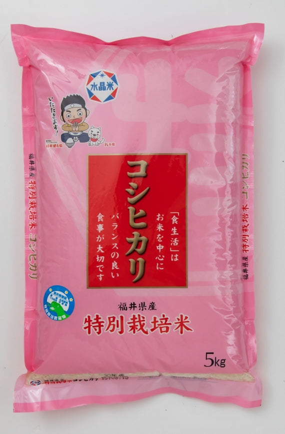 福井県産 令和4年産 特別栽培米コシヒカリ5キロ（送料無料）