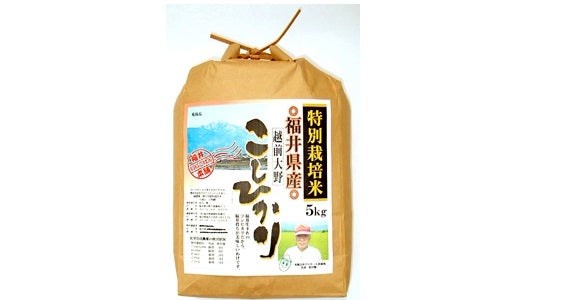 福井県産 令和5年産 菖蒲池コシヒカリ5キロ2袋セット（送料無料)　福井　米