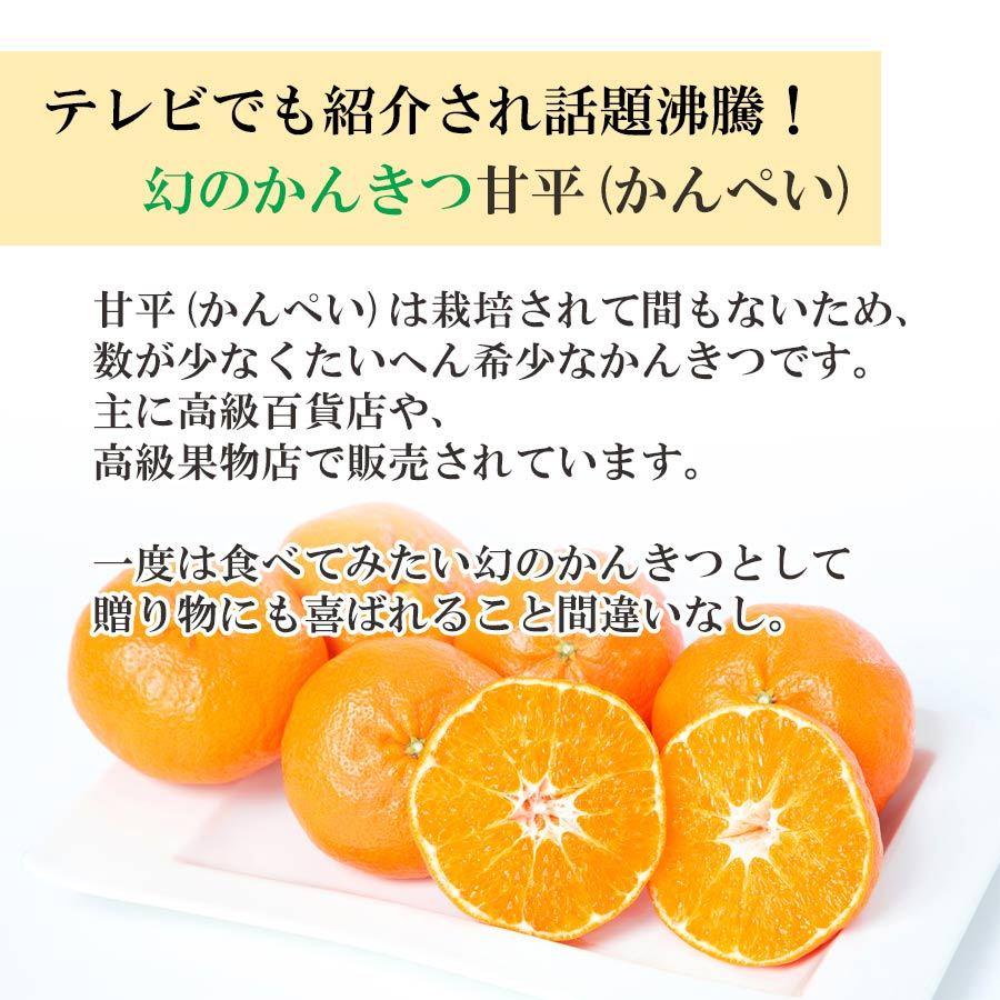 愛媛県限定栽培品種 甘平（かんぺい） 贈答箱入り 6～8個（約2kg）