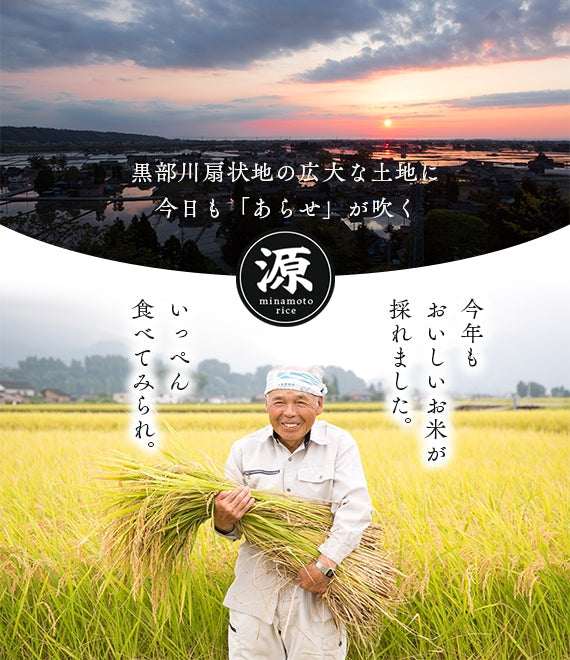 【米】令和5年度　黒部川あらせ米10キロ（コシヒカリ）特別栽培米　農事組合法人源　