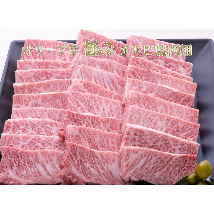☆送料無料☆【A5ランク限定使用】☆OHK 岡山放送　金バク！でお宝認定されました!☆ オリーブ牛 焼肉セット / 極みカルピ(1kg)＋特製中辛タレ2本(360g)