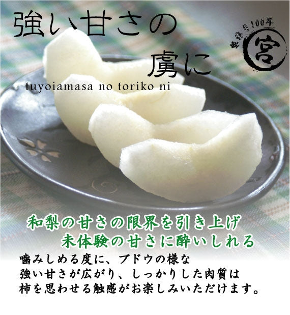 週刊大衆【旬の味】にて紹介!濃縮された魅惑の甘さ！　南水（なんすい）梨　5kg
