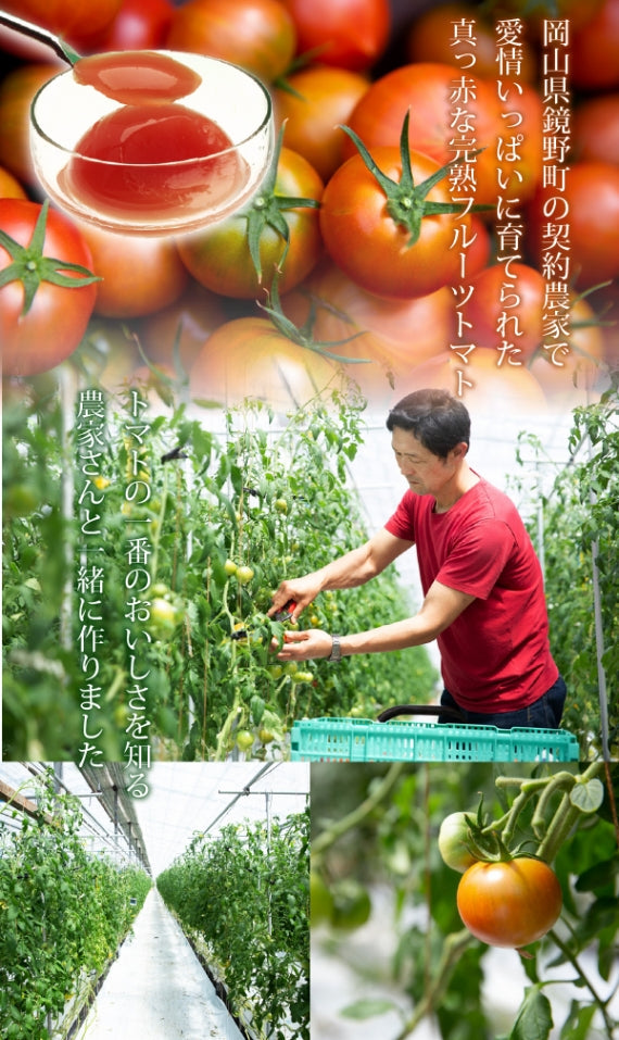 送料無料 岡山県産完熟フルーツトマトのジュレ「まっかなときめき」12個入