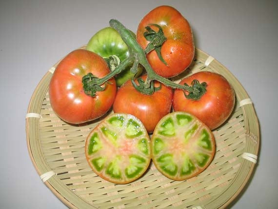 しぼりトマト100%ジュース（1000ml）　１本
