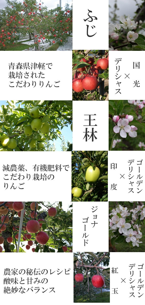青森県産　無添加　りんごジュース　ＷＯＮＤＥＲ　ＡＰＰＬＥ　プレミアムブレンド　１８０ｍｌ　１２本入り　【送料無料】