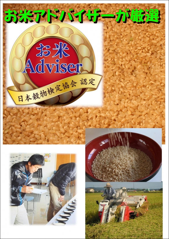 玄米30キロ 米・雑穀・粉類