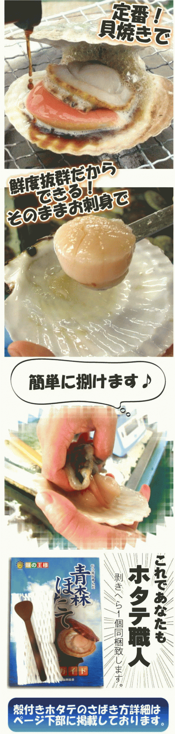 【送料無料】青森むつ湾産『特選』活ほたて 殻付き LLサイズ5kg 約20枚～30枚(剥きヘラ付)【のし対応】【カニ・鮮魚・魚介類】