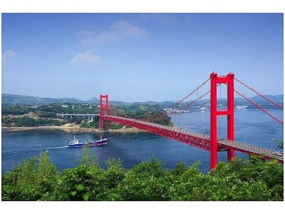 志々伎漁協から直速！見てビックリ！長崎県平戸産天然活き「オオバウチワエビ」小サイズ約1㎏（10匹～12匹）