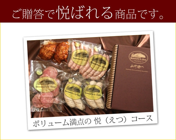【富士の恵みをお届け】【贈り物に最適】ハンバーグ・ウィンナー・ハム詰合せ　悦（えつ）コース