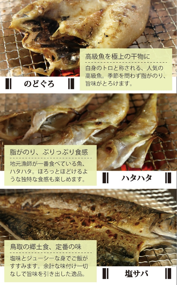 【干物セット】　高級魚のどぐろの干物2枚入り！無添加・天日干し山根商店のお得な干物セット　5種16枚入り！