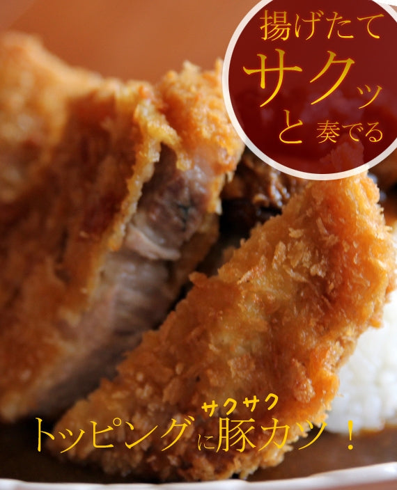 ふじやまビール入り地ビール屋のポークカレー（ちょっと辛口）３パック☆