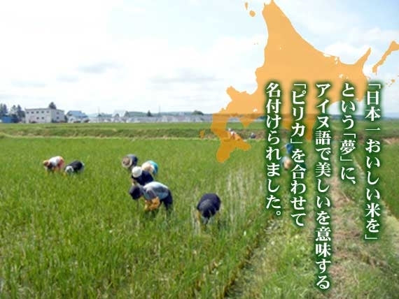 【令和5年産】JAS有機・無農薬　佐竹国広さんのゆめぴりか　北海道　5kg