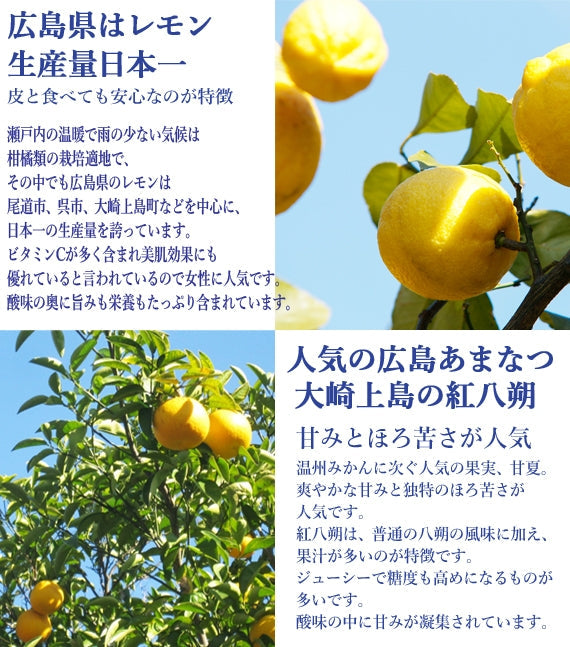 【数量限定！】添加物と砂糖をつかわない海藻ゼリー★広島県産レモン・甘夏・紅はっさくの３種セット