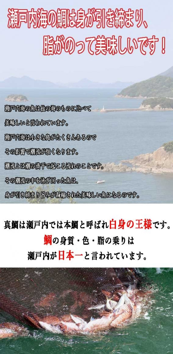 日本ギフト大賞2020広島賞受賞！お取り寄せグルメ 天然のプルプルなコラーゲンがたっぷり！天然炙り鯛の『鯛そうめん』 2人前(冷凍麺)