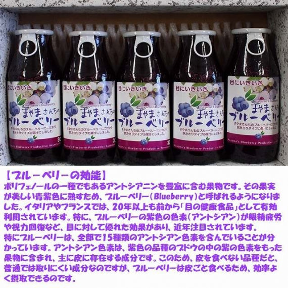 「福井県産」ブルーベリージュース180 mL×５本入り箱