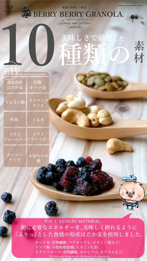 愛媛県産はだか麦のさくさくグラノーラ　「ベリーベリー」