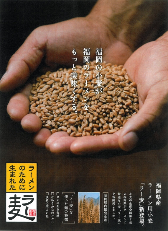 「博多ラーメン3種の味」福岡県産ラーメン専用小麦「ラー麦」を100％使用したこだわり麺に、とんこつ、あごだし醤油、水炊き塩、3種のラーメンをお届け致します。