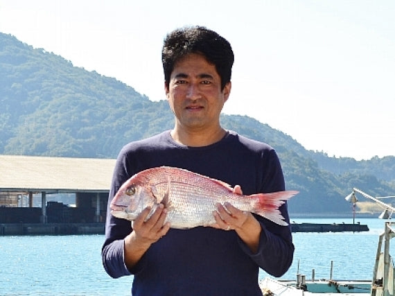 愛媛八幡浜産　天然真鯛を食べつくす鯛めしセット