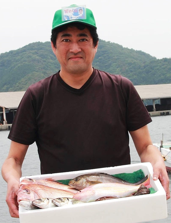 愛媛八幡浜産　超高級魚・白甘鯛の一夜干し　３枚セット