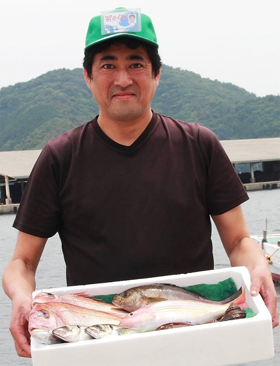 無添加・天日干し【愛媛八幡浜産】ピチピチ朝獲れ鮮魚の一夜干し８枚セット