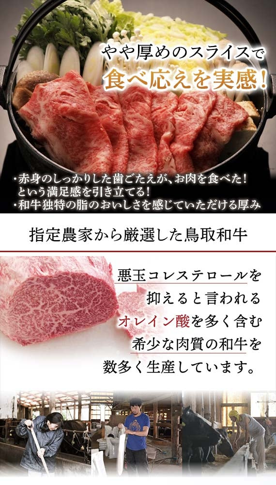 鳥取和牛すき焼きロース550g 【送料無料】