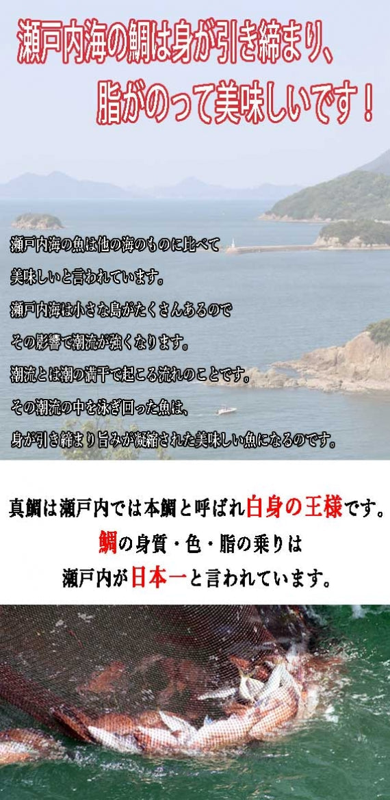 日本ギフト大賞2020受賞　天然のプルプルなコラーゲン入り天然鯛の『鯛そうめん』(切り身＆天然コラーゲン濃縮だしセット)