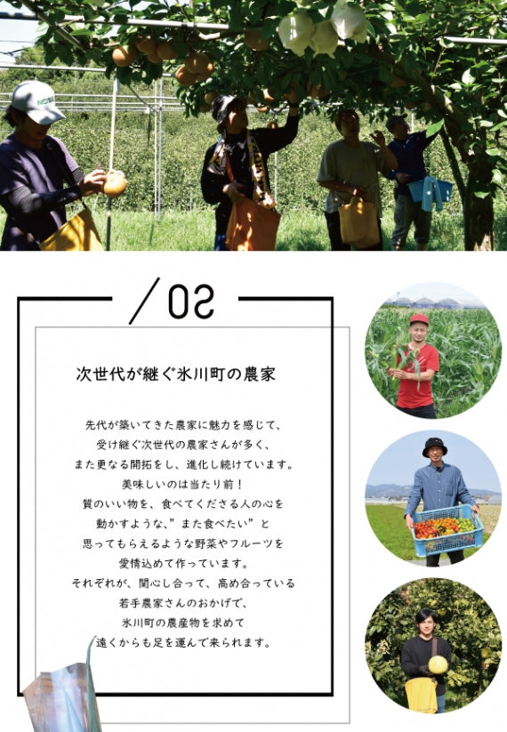 【産地直送！】新鮮野菜と旬の果物たっぷり10種類前後