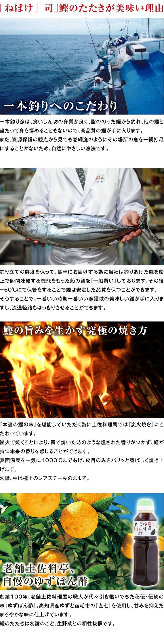 土佐料理 司「戻り鰹のたたき1本入り(３人前）」 (000171)【カニ・鮮魚・魚介類】