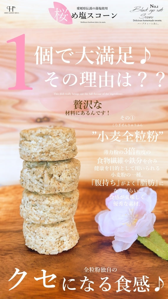 【春限定】愛媛の陽光桜と藻塩を使った　『桜め塩スコーン』