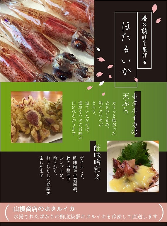 ホタルイカ　お刺身OK!　【冷凍パック】