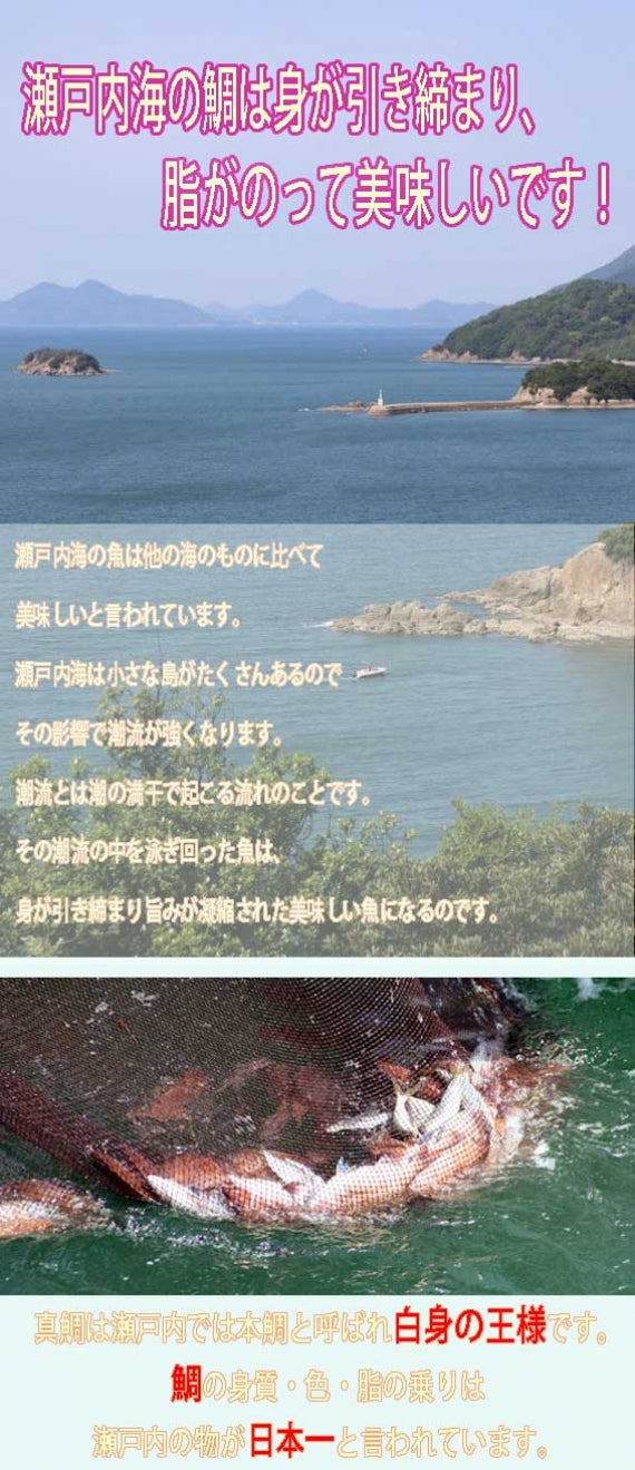 日本ギフト大賞姉妹品★夏季限定★天然鯛の切り身入り冷やし『鯛そうめん』４人前セット