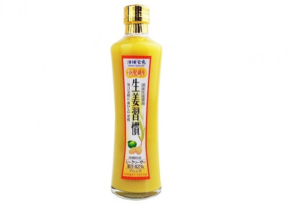 国産生姜使用　おいしい生姜習慣300ml