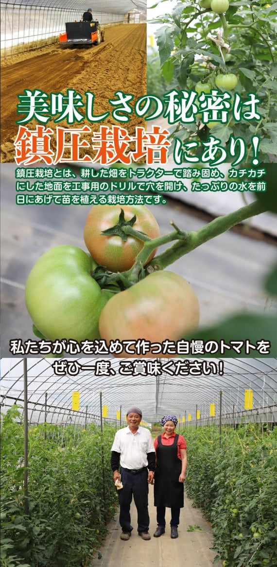 岡崎農園さんこだわりの逸品～自家製トマトソース6本セット【矢吹町】