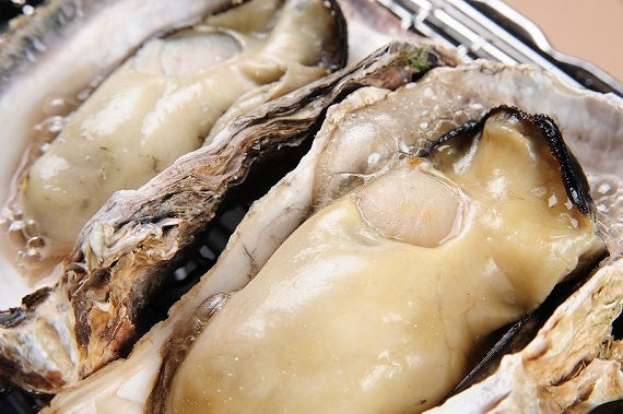 【安芸の食卓】広島県産の牡蠣と自家製ホワイトソースで包み込みました　特製　牡蠣グラタン（5個）