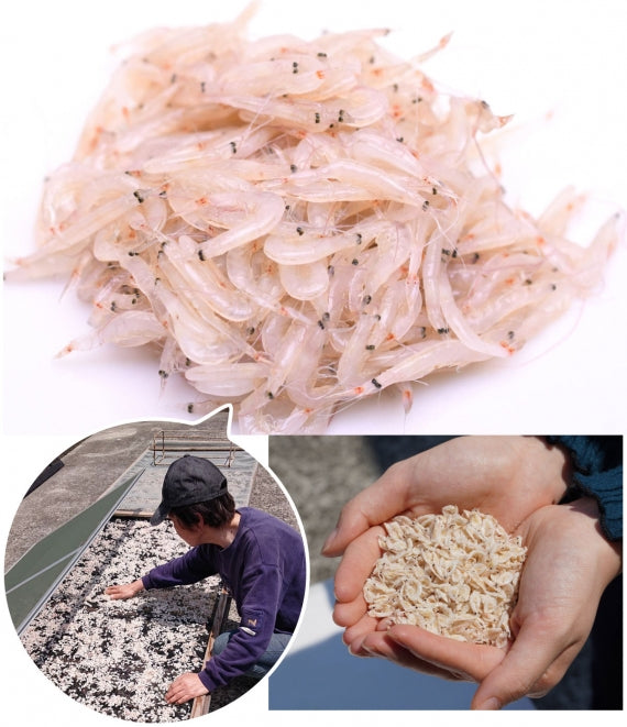 栄養満点！★干し あみえび★佐賀県 有明海産【他の商品にちょい足しで送料無料】