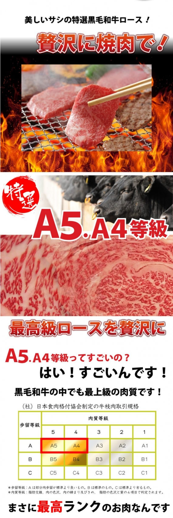 牛肉 肉 プレゼント 特選 オリーブ牛 A4,5等級 とろける 黒毛和牛 ロース 焼肉 500ｇ（250g×2） お歳暮 ギフト 食品 プレゼント 女性 男性 お祝い 新生活