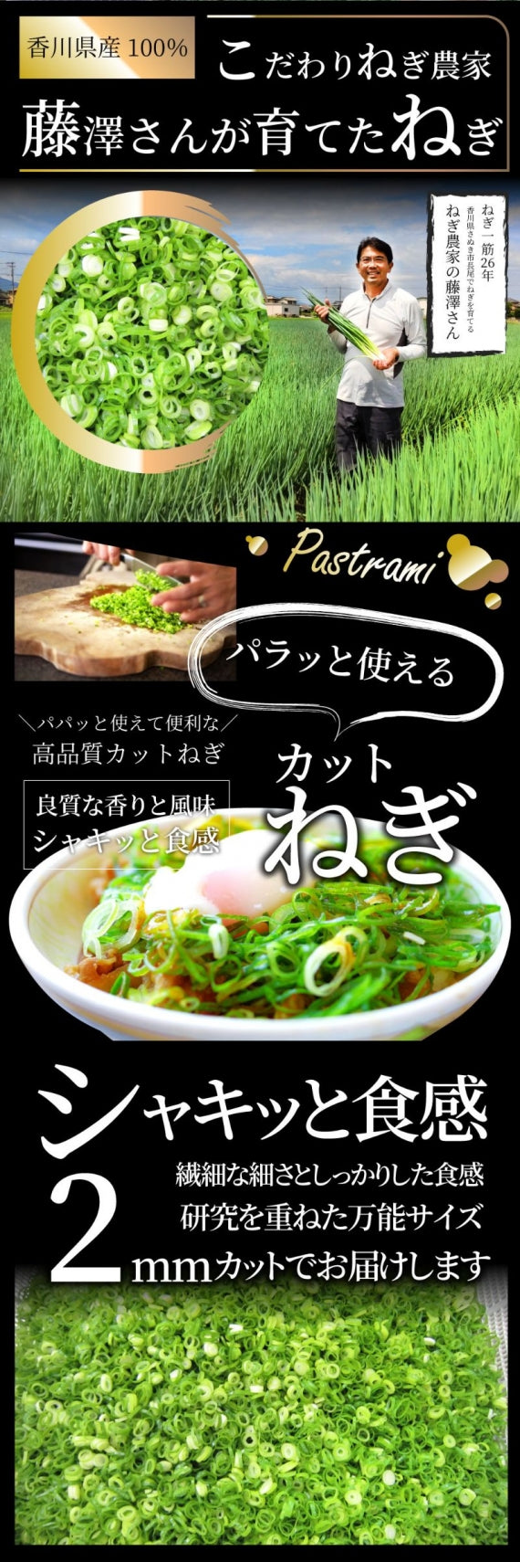 カットねぎ 500g ねぎ ネギ 藤澤さん家のカットねぎ 葱 冷凍 とれたてネギ 香川県産 冷凍野菜 時短 料理 簡単調理 包丁いらず