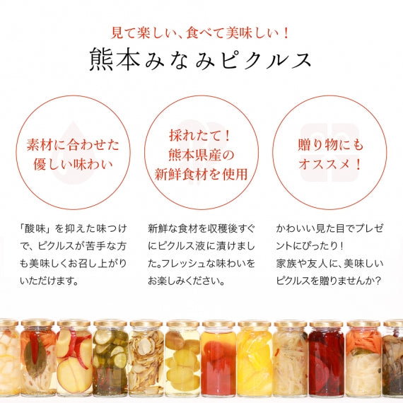 【送料無料】 見て・食べて・楽しい！熊本みなみピクルス／おやつギフト4本セット【メディア掲載・表彰実績あり】