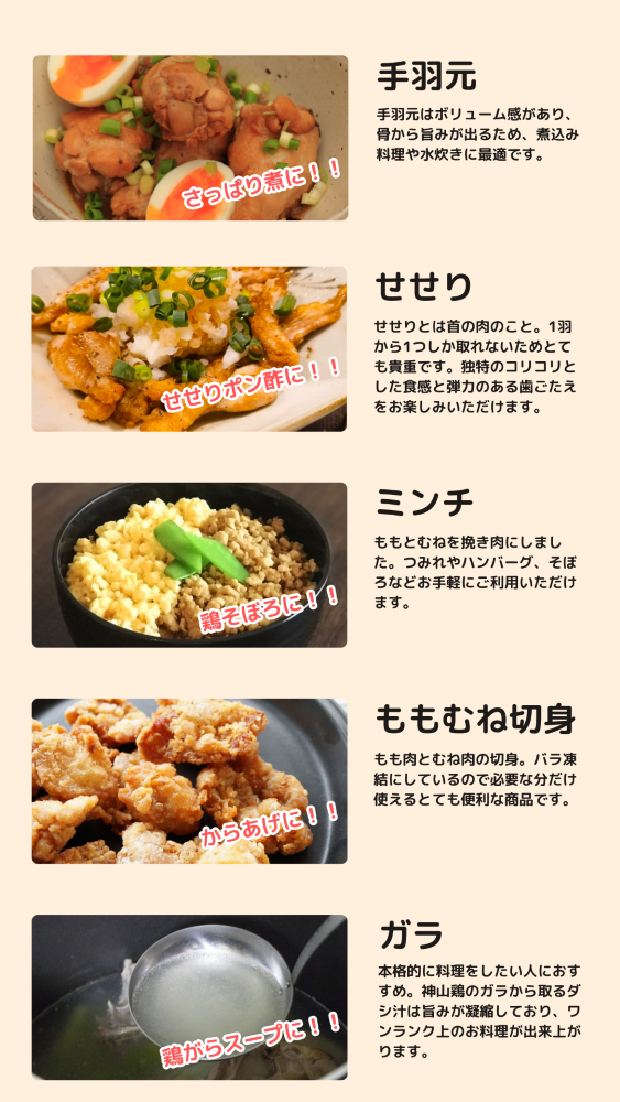 【送料込】【鶏まるごと9種類！１０パック！！】徳島県産神山鶏食べつくしセット
