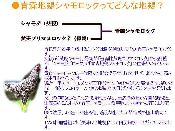 産地工場直送のご当地グルメ！ 八戸せんべい汁 青森地鶏シャモロック肉入り！