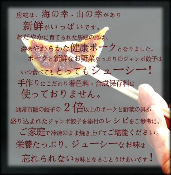 房総ジャンボ餃子20個セット【米・野菜・惣菜】