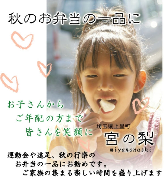 週刊大衆【旬の味】にて紹介!濃縮された魅惑の甘さ！　南水（なんすい）梨　5kg