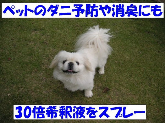 ナノヒバオイル 業務用 1ℓ 青森ひば水溶性 送料無料【2033】