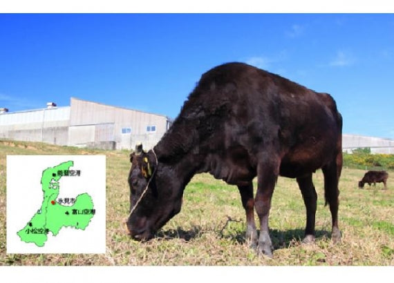 氷見和牛肩ロースすきしゃぶ用（450g）[G04]【精肉・肉加工品】