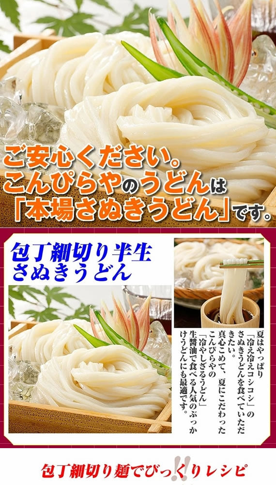 【10人前つゆ付】半生麺　包丁細切り　本場さぬきうどん240g×5袋　つゆ付