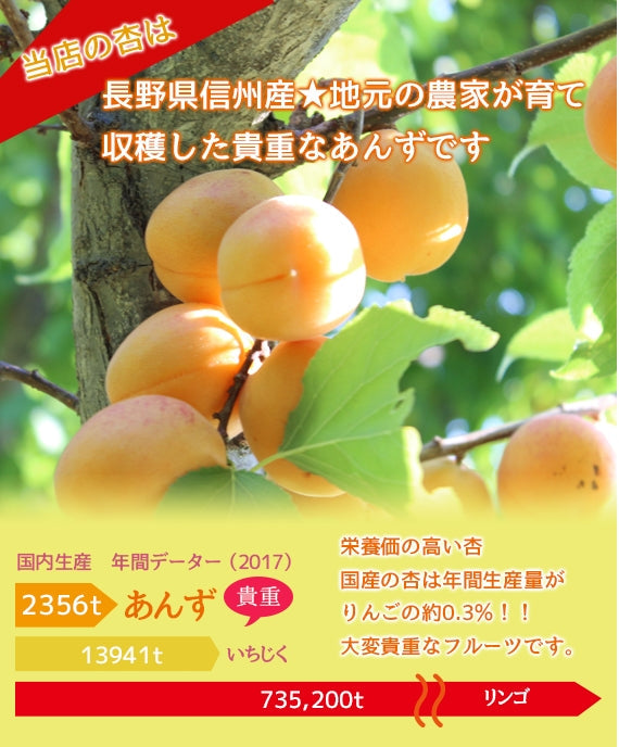 【信州産】プレーン杏(あま杏）　貴重な信州産杏のドライフルーツです。そのままお召し上がりいただけます。