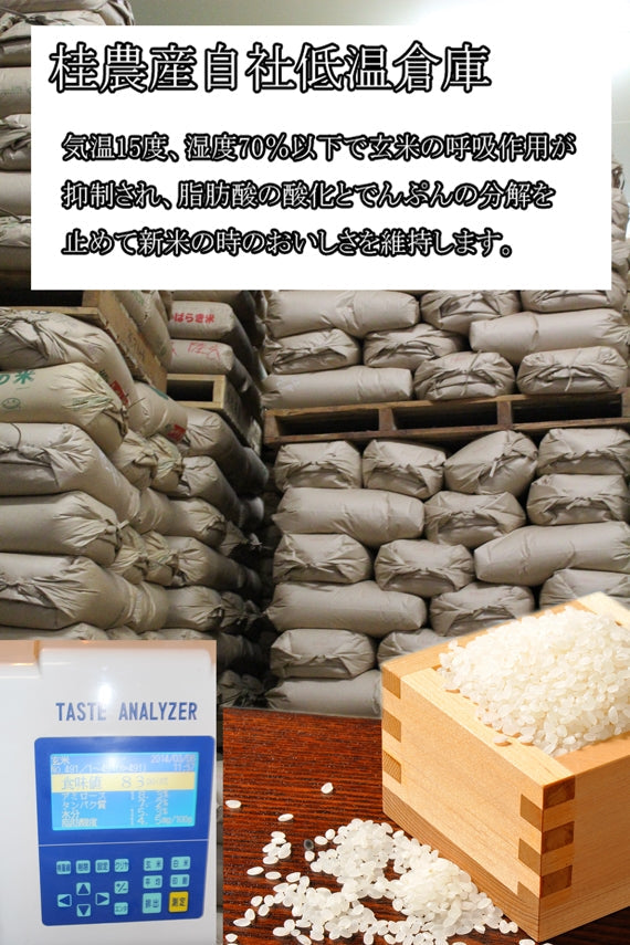 ホタル米コシヒカリ　玄米　30キロ　精米・無洗米処理も無料承り　