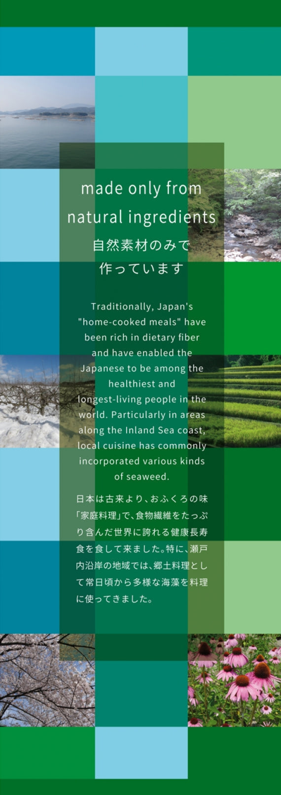 　手土産用　７種類セット箱入り　　　　 添加物と砂糖をつわない海藻ゼリー　