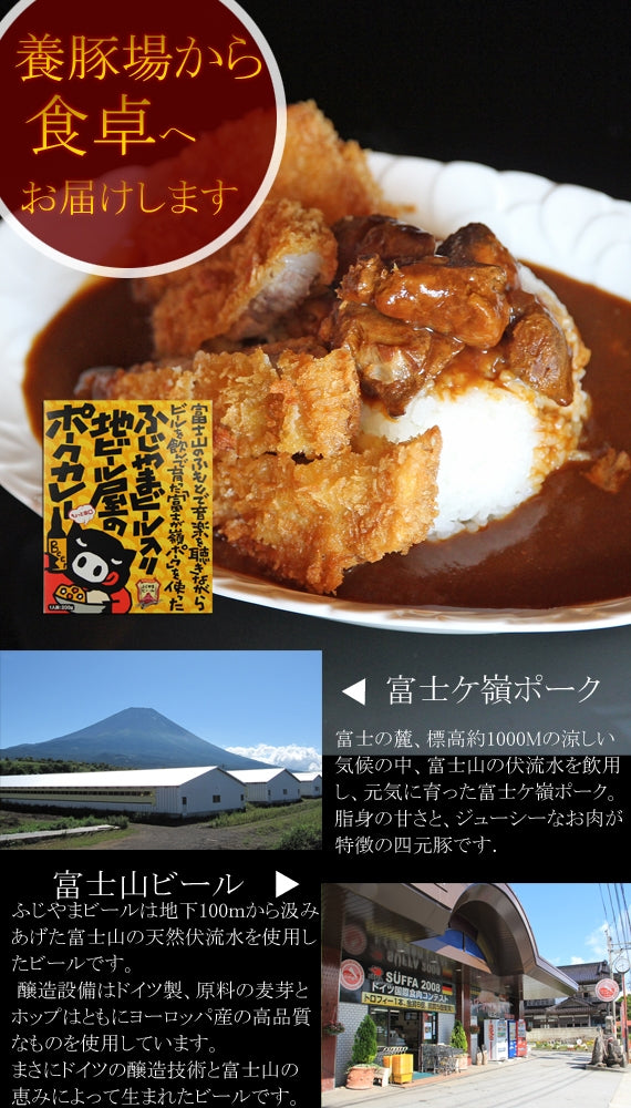 【お試し】ふじやまビール入り地ビール屋のポークカレー（ちょっと辛口）1パック【送料込み】
