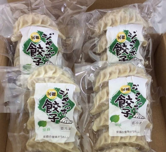 房総 手包み しそ巻餃子 20個セット【米・野菜・惣菜】　